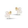 Enamel E354G Mae Earring Guld